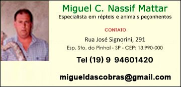 Nassif - especialista em r&eacute;pteis e animais pe&ccedil;onhentos